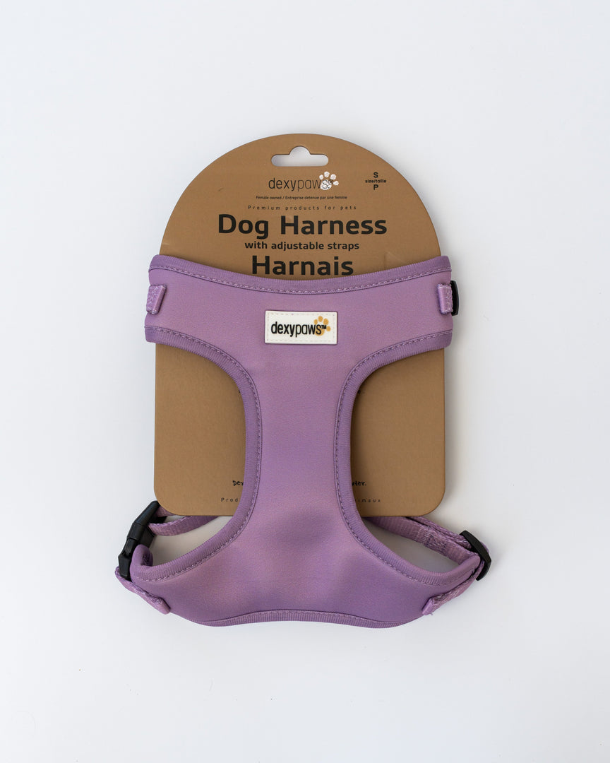 Dexypaws - Harnais en Néoprène - Harnais pour Chiens