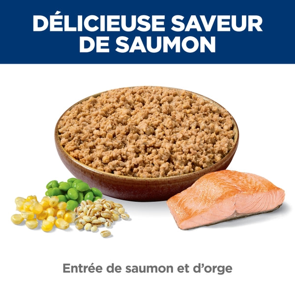 Hill's Science Diet - Chien Adulte Entrée de Saumon et Orge - Nourriture Humide pour Chiens