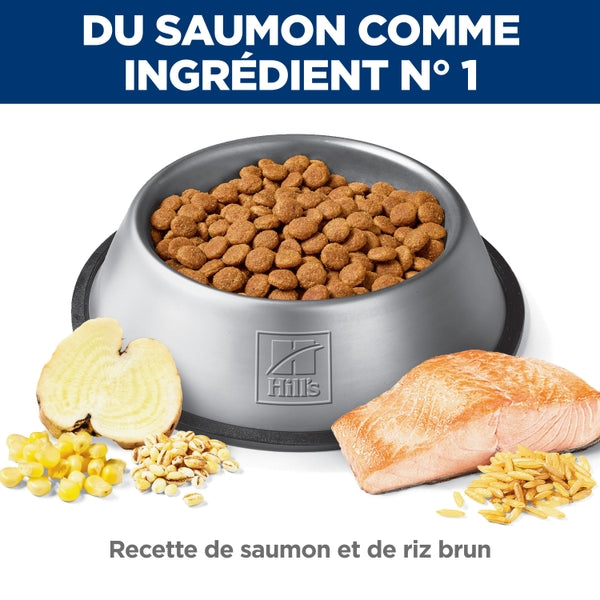 Hill's Science Diet - Digestion Parfaite (Perfect Digestion), Saumon et Riz Brun - Nourriture Sèche pour Chiens Adultes 1-6 Ans