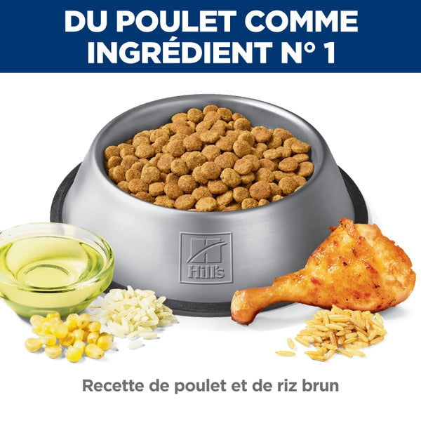 Hill's Science Diet - Digestion Parfaite (Perfect Digestion), Poulet et Riz Brun - Nourriture Sèche pour Chiens Adultes 7+ Ans