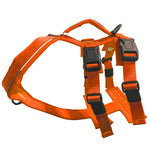 Voir l’image dans la galerie, CHIEN BLANC ATLAS Harnais Double Orange XXS