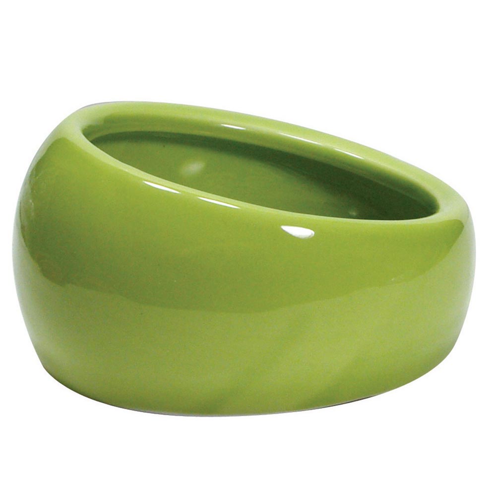 LW Bol Ergonomique L Vert pour Petits Animaux
