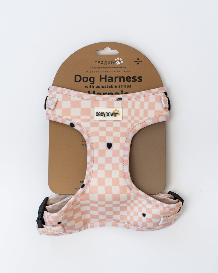 Dexypaws - Harnais en Néoprène - Harnais pour Chiens