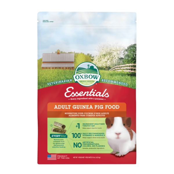 Oxbow Essentials - Nourriture pour Cochons d'Inde Adultes - Nourriture pour Cochons d'Inde