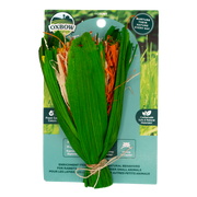 Oxbow Enriched Life - Bouquet de Célébration - Jouet à Mâcher pour Rongeurs