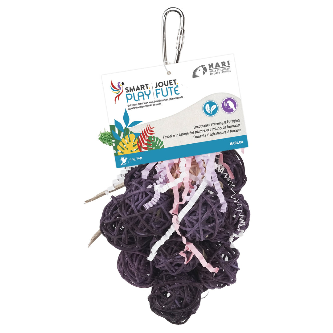 Hari Smart Play - Grappe de Raisins - Jouet pour Oiseaux