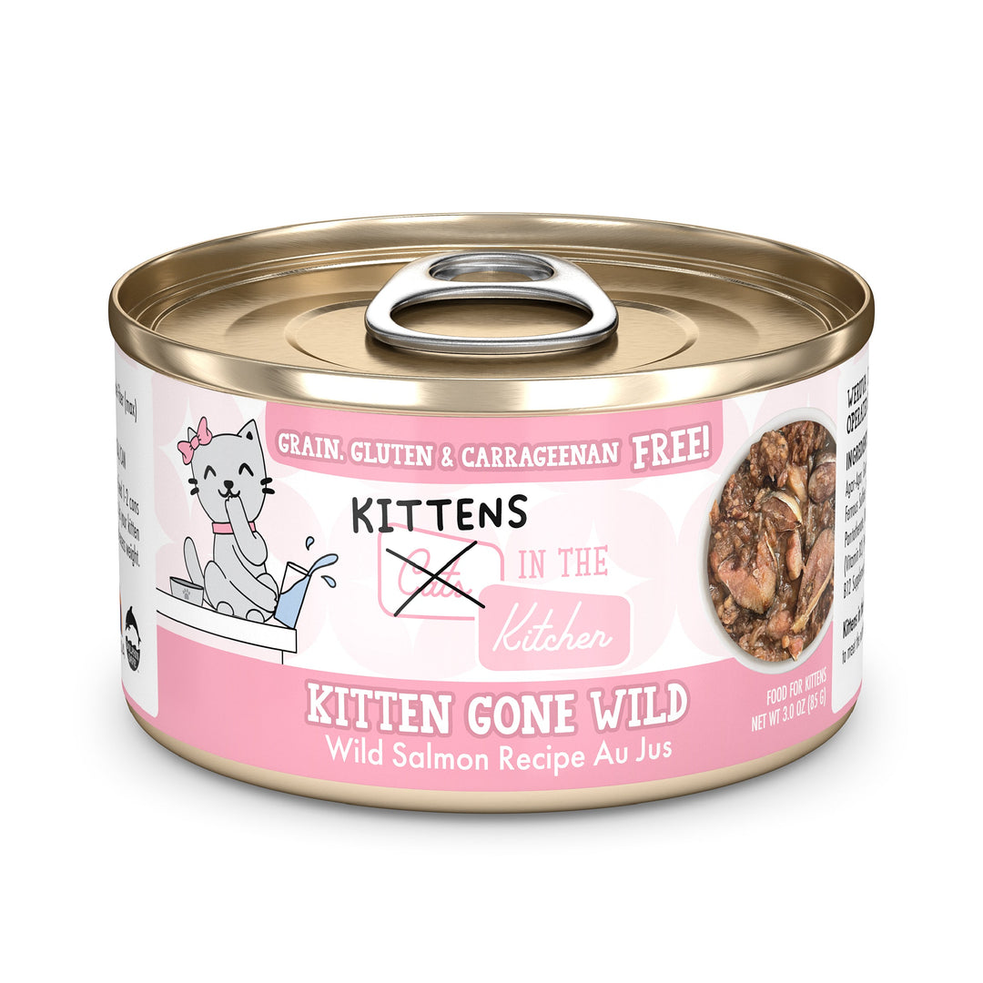 Weruva Cats in the Kitchen - Gone Wild - Saumon Sauvage au Jus - Nourriture Humide Sans Grains pour Chatons