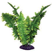 KOMODO Fougère de Boston 25cm pour Reptiles