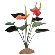 *KOMODO Buisson d'Anthurium 29cm pour Reptiles