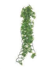 Voir l’image dans la galerie, KOMODO Vigne Feuille de Papaye 60cm pour Reptiles