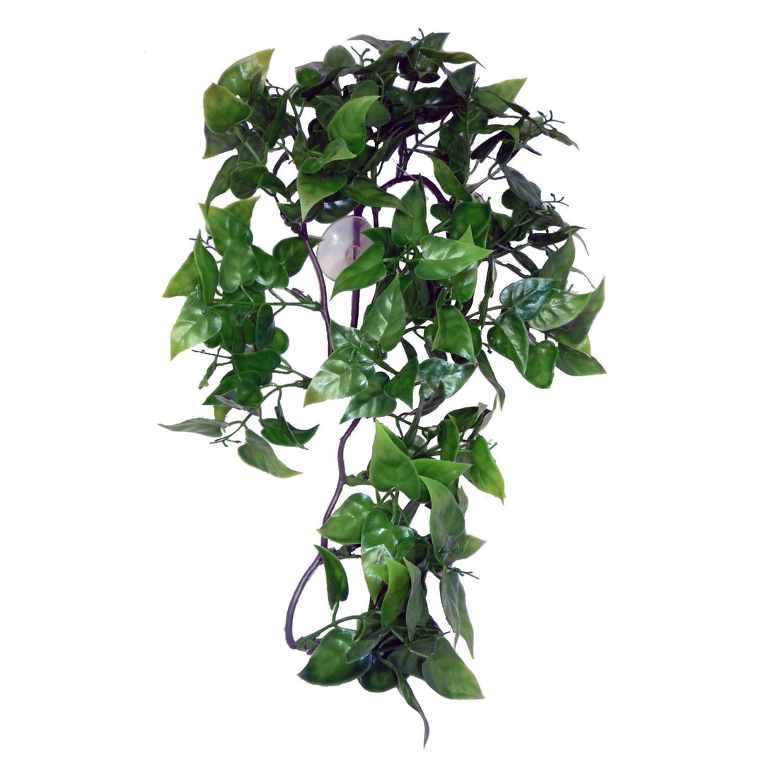 KOMODO Plante Suspendue Philodendron 30cm pour Reptiles