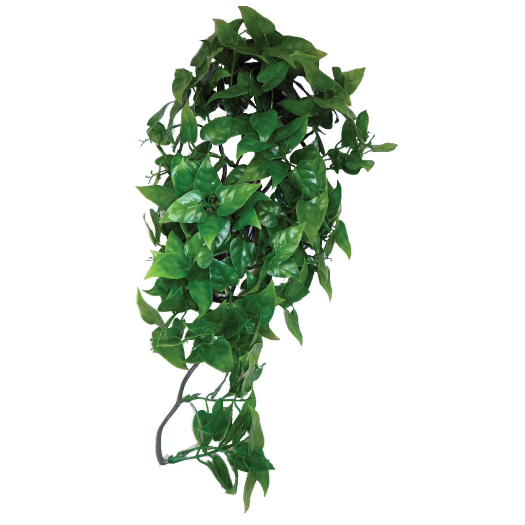 KOMODO Plante Suspendue Philodendron 40cm pour Reptiles