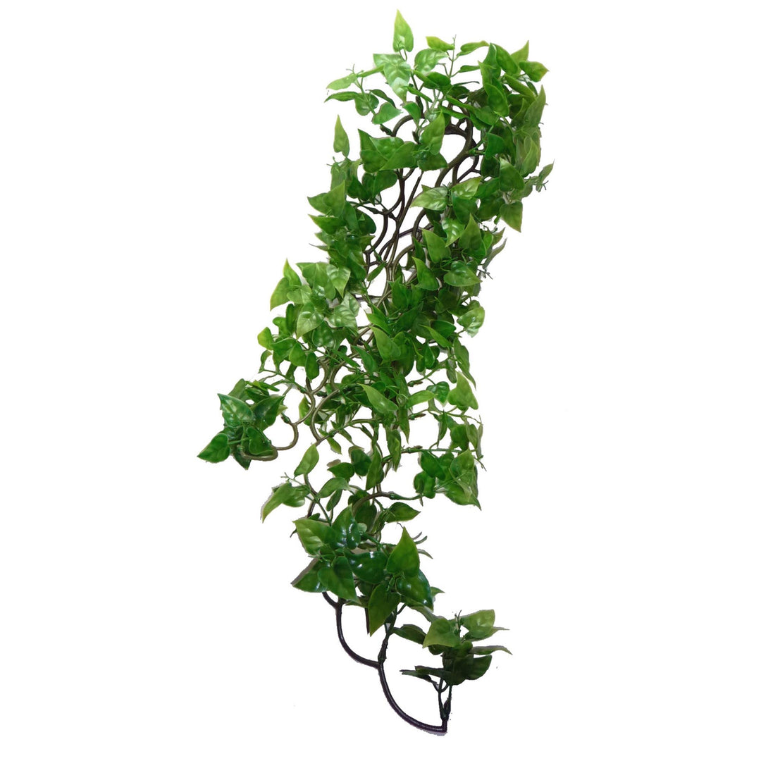 KOMODO Plante Suspendue Philodendron 60cm pour Reptiles