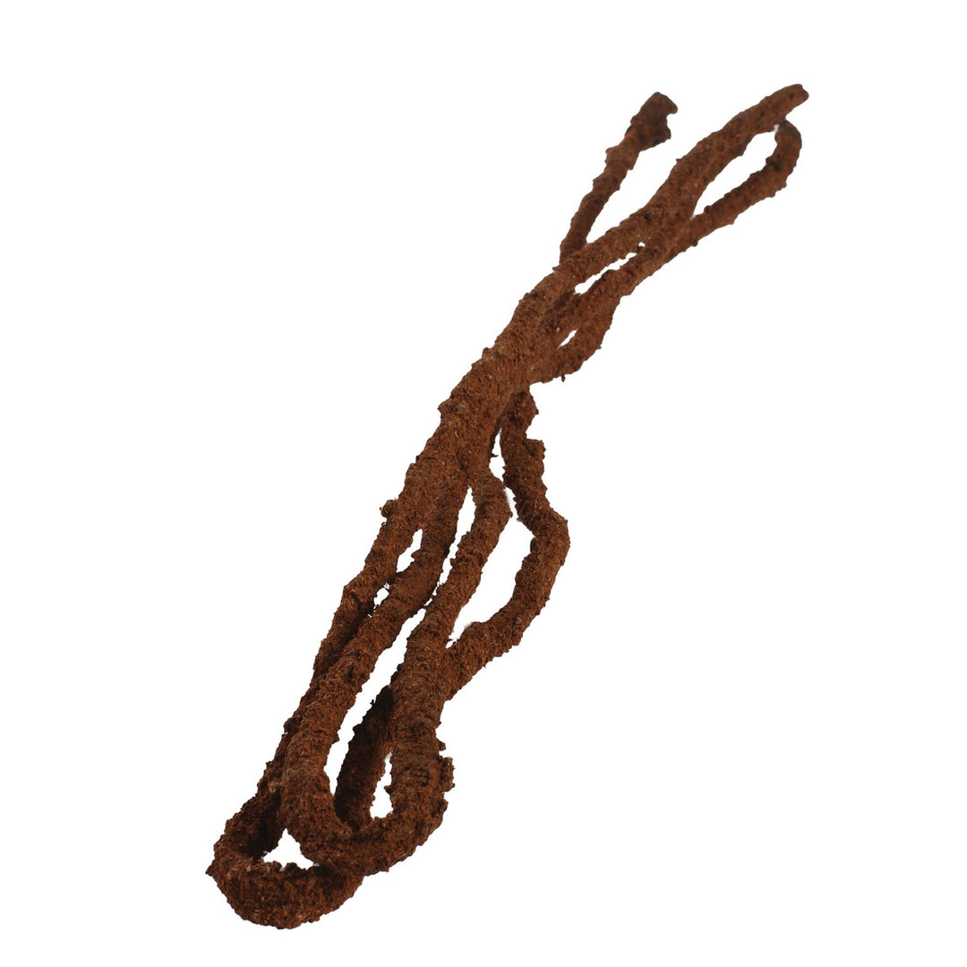 KOMODO Vigne Tropicale M pour Reptiles