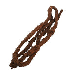 Voir l’image dans la galerie, KOMODO Vigne Tropicale L pour Reptiles