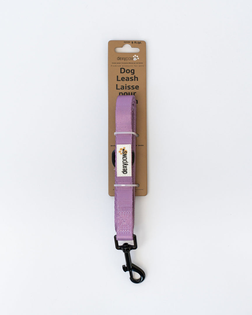 Dexypaws - Laisse en Polyester - Laisse pour Chiens