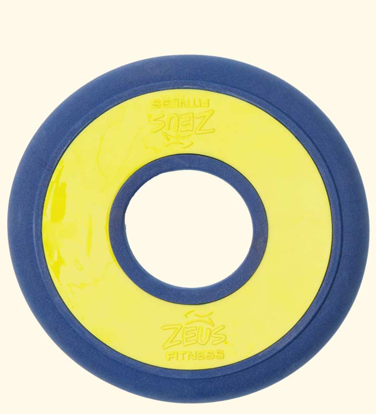 Fitness Zeus - Jouet Disque à Rapporter Flottant pout Chiens, 23 cm