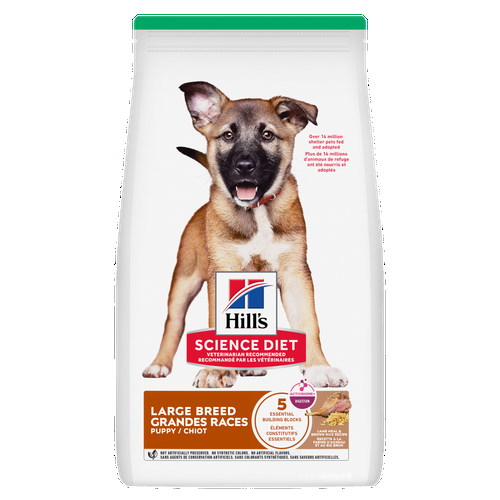 Hill's Science Diet - Poulet et Riz Brun - Nourriture Sèche pour Chiots de Grandes Races