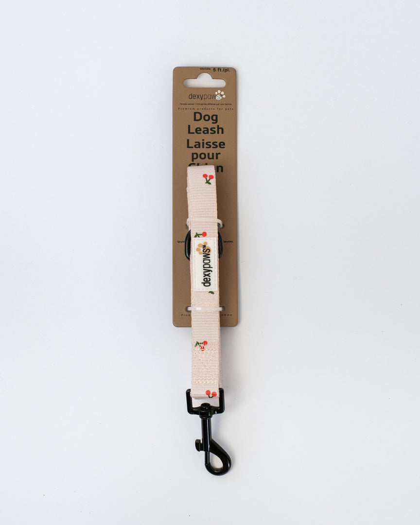 Dexypaws - Laisse en Polyester - Laisse pour Chiens