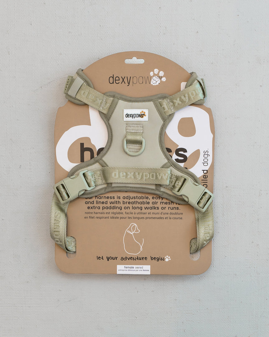 *DEXYPAWS Harnais Imperméable Beige XL