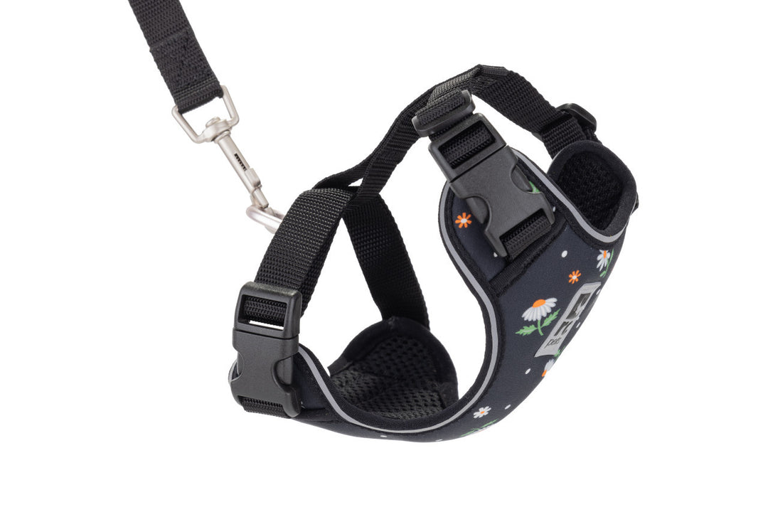 RCP Chat Harnais Aventure S 11-15" Marguerites