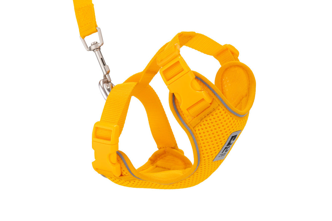 RCP Chat Harnais Aventure L 15-22" Fleur de Souci