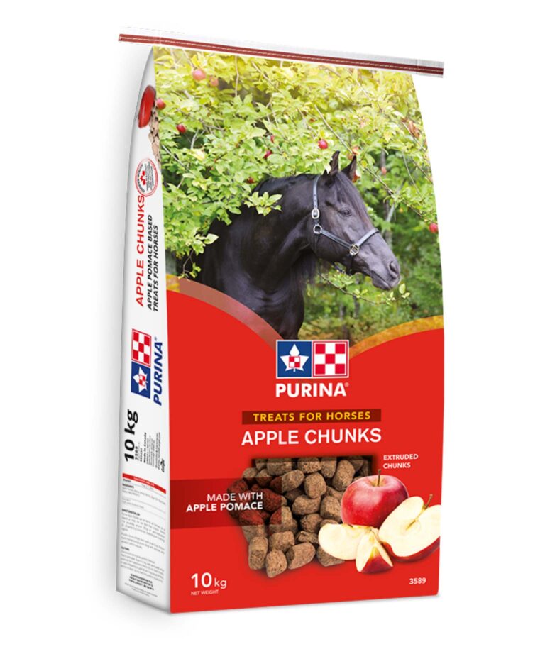 BOUCHEES DE POMME EXTRUDE BOITE 12KG