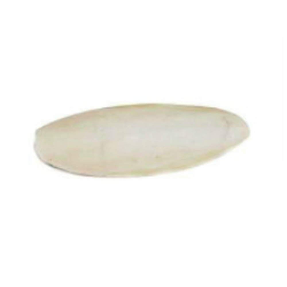 RIGA Gâteries Oiseaux Os de Seiche 20-25cm Vrac