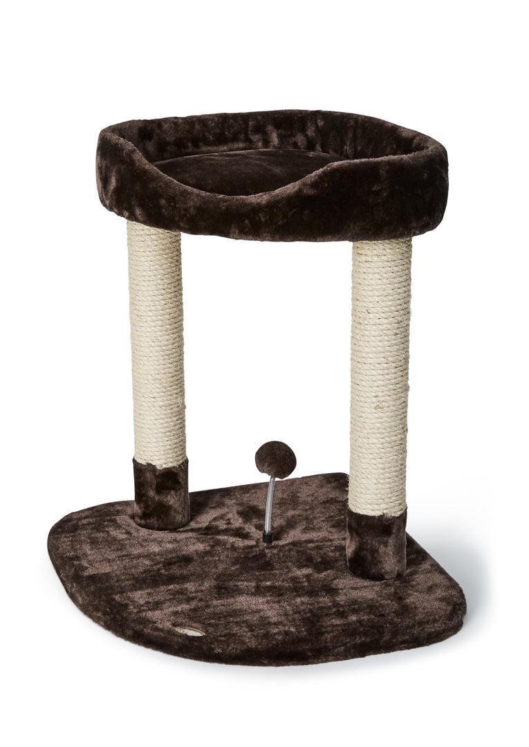BüD'z - Arbre à Chat Classic avec Perchoir et Jouet sur Ressort (50 x 50 x 62 cm)