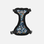 Voir l’image dans la galerie, CLOE CLUZO Chat Harnais Filet Motif Constellation S/M