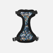 CLOE CLUZO Chat Harnais Filet Motif Constellation S/M