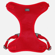 CLOE CLUZO Harnais Ajustable en Filet S/M Rouge