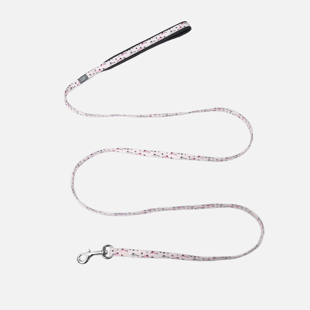 CLOE CLUZO Chat Laisse Nylon 48" Souris
