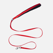 CLOE CLUZO Chat Laisse Nylon 48