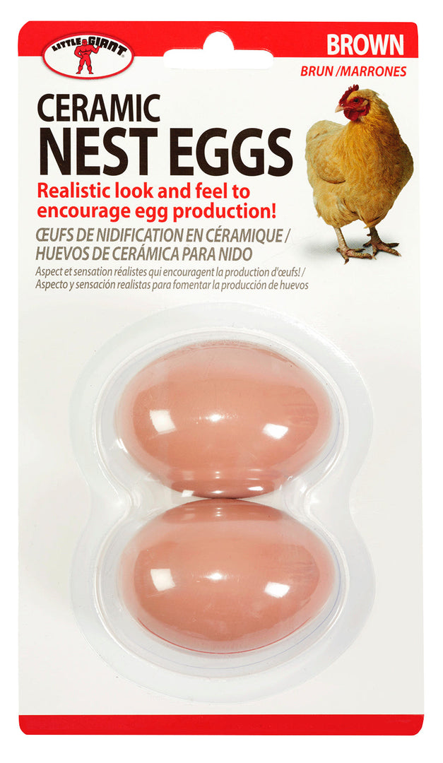 Miller - Œufs Factices en Céramique - Nichets pour Poules