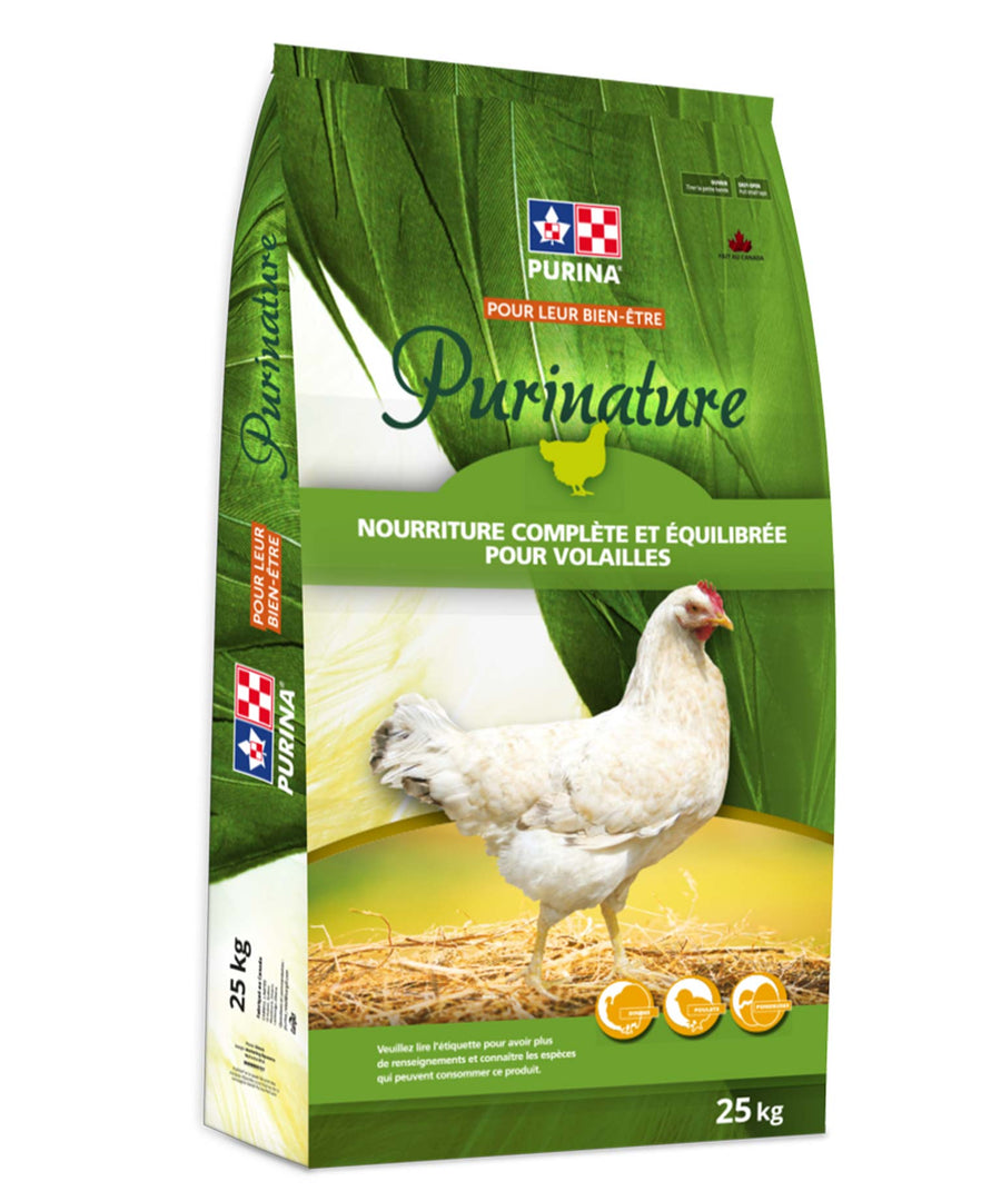 AMP PURINA DEBUT CROI CONCS FN SAC 25KG