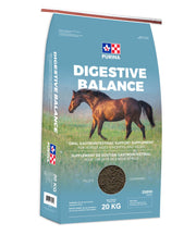 PURINA DIGESTIVE BALANCE COMPR 20KG SAC