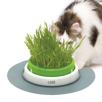 Catit Senses 2.0 - Jardinière d'Herbe pour Chats