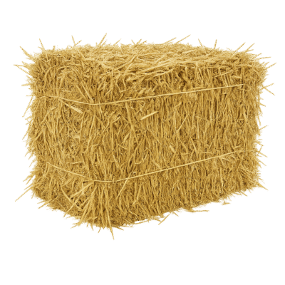 MASKA SELECT Nourriture Mini Balle de Paille x2