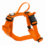 CHIEN BLANC HORIZON Harnais Clip Cou Orange XL