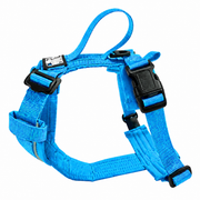CHIEN BLANC HORIZON Harnais Clip Cou Bleu M