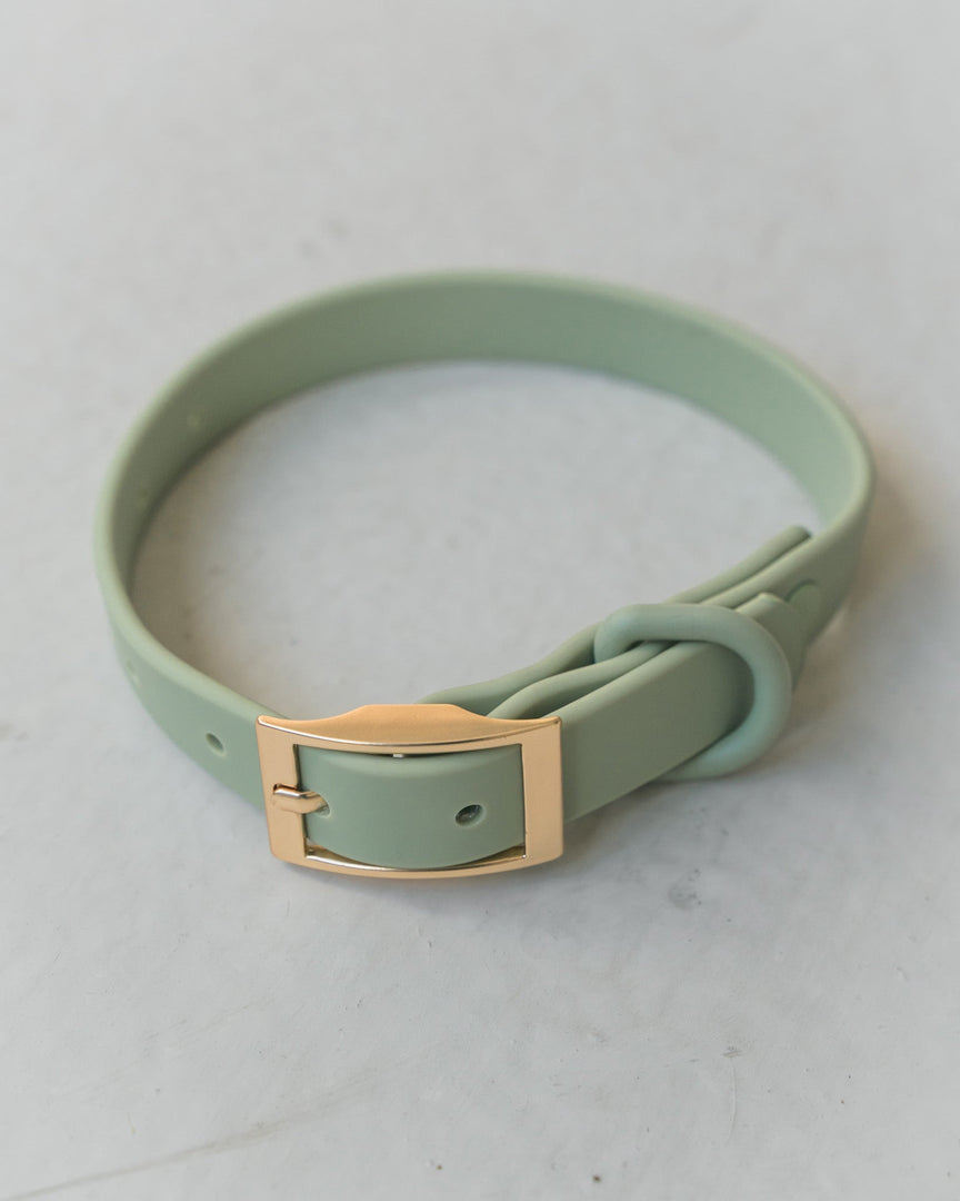 DEXYPAWS Collier Imperméable Vert Sauge M