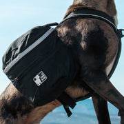 CHIEN BLANC Sac à Dos Expédition Noir