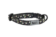 RCP Chat Collier Sécuritaire 8-10