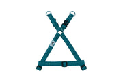 RCP Harnais Base Step-In Base XL Turquoise Foncé