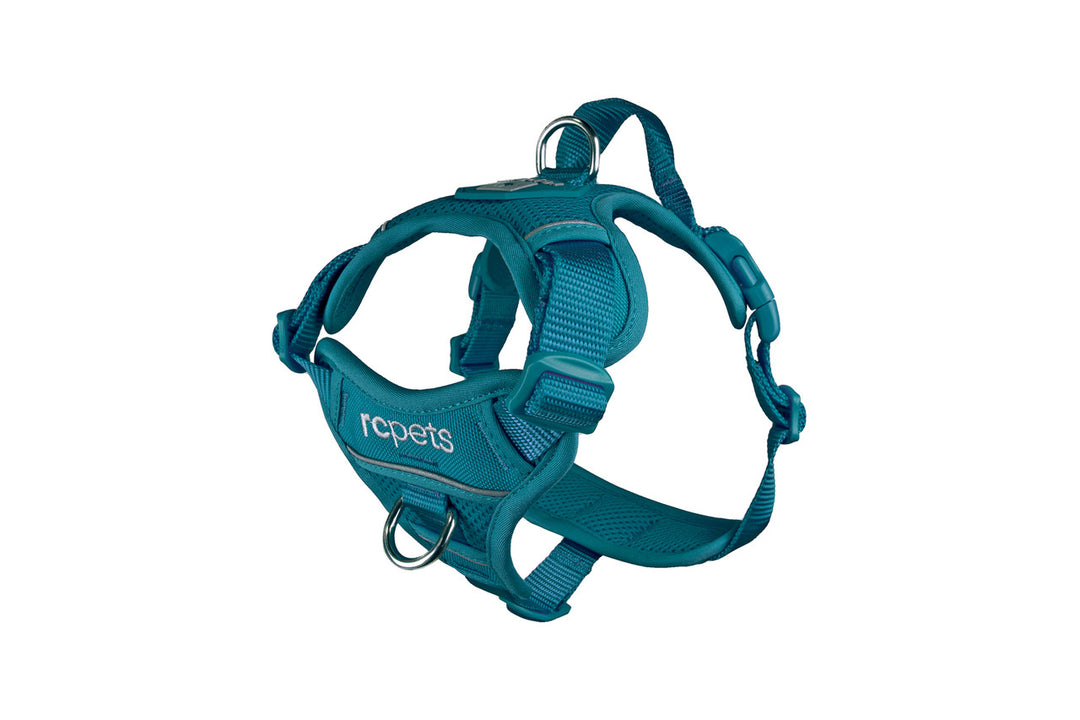 *RCP Harnais Contrôle Momentum S Turquoise Foncé