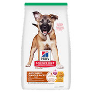 Hill's Science Diet - Poulet et Riz Brun - Nourriture Sèche pour Chiots de Grandes Races