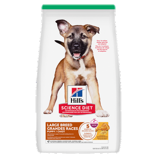 Hill's Science Diet - Poulet et Riz Brun - Nourriture Sèche pour Chiots de Grandes Races