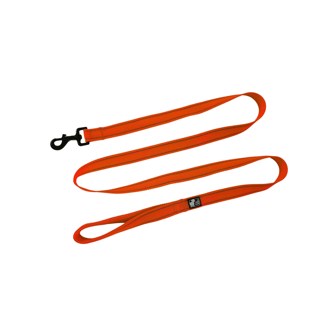 CHIEN BLANC EASY Laisse 6' Orange