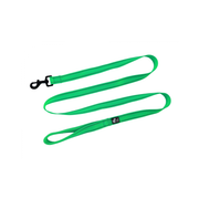 CHIEN BLANC EASY Laisse 6' Vert